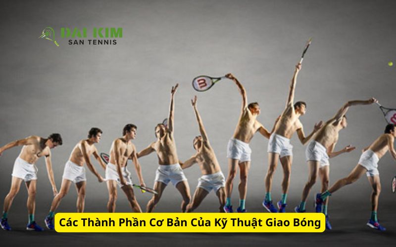Các Thành Phần Cơ Bản Của Kỹ Thuật Giao Bóng
