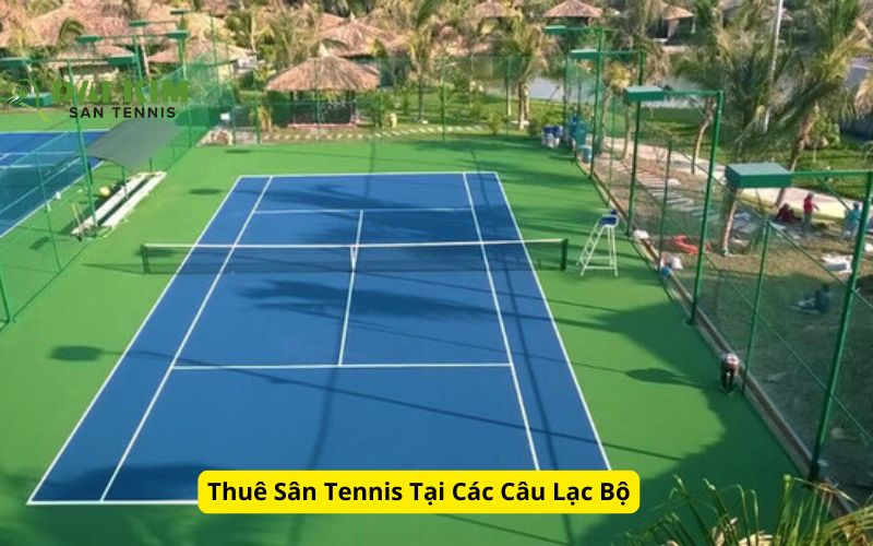 Thuê Sân Tennis Tại Các Câu Lạc Bộ