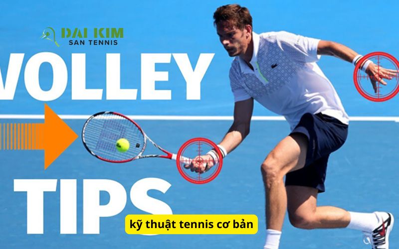 kỹ thuật tennis cơ bản