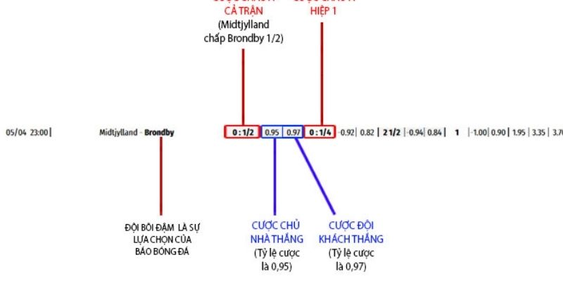 Cách đọc kèo chấp 1 4