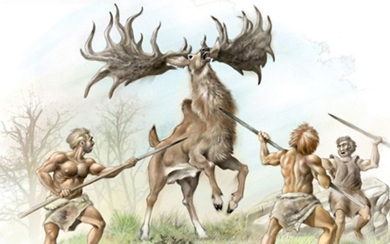 Chiến lược quản lý và quy định pháp lý về săn bắt